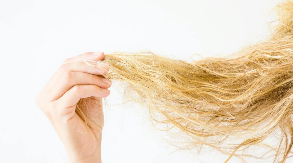 A Guide to Repairing, Treating & Fixing Damaged Hair